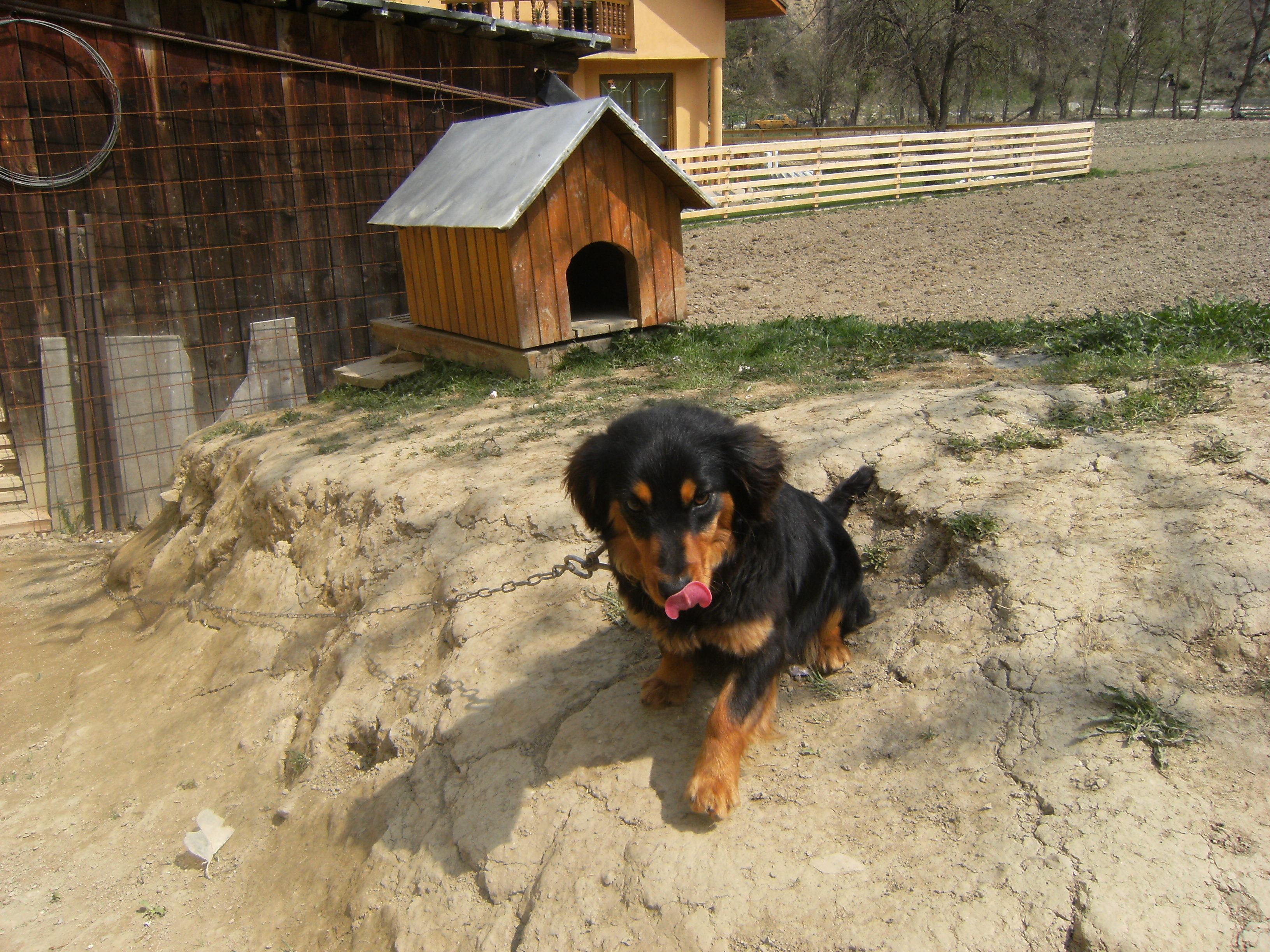 Stela.jpg